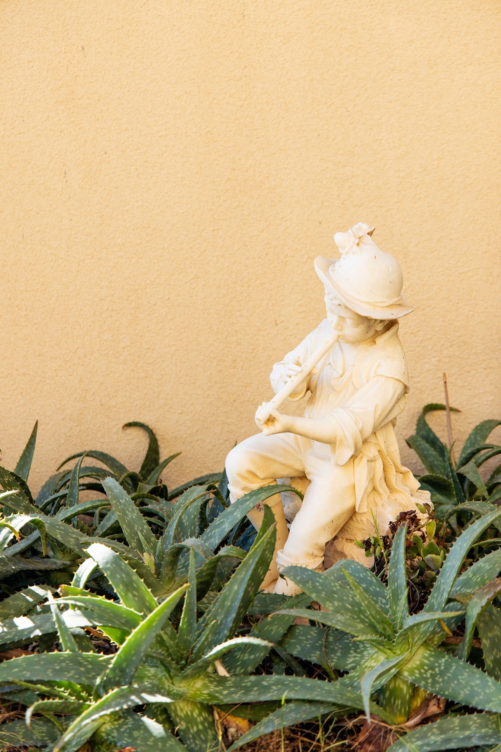 Garden area at Bel-Aire Beach Apartments