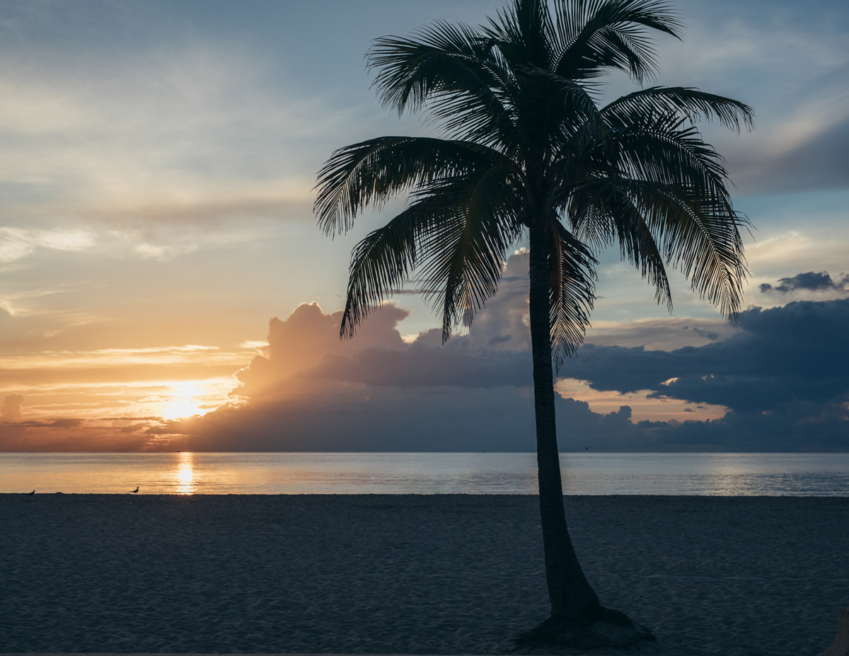 Hollywood Beach ocean view